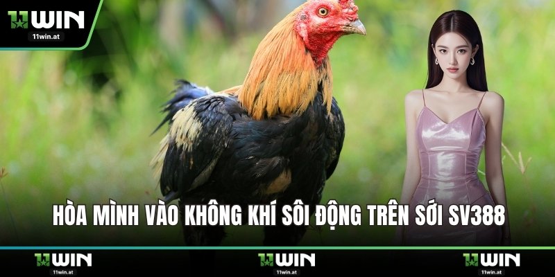 Hòa mình vào không khí sôi động trên sới SV388
